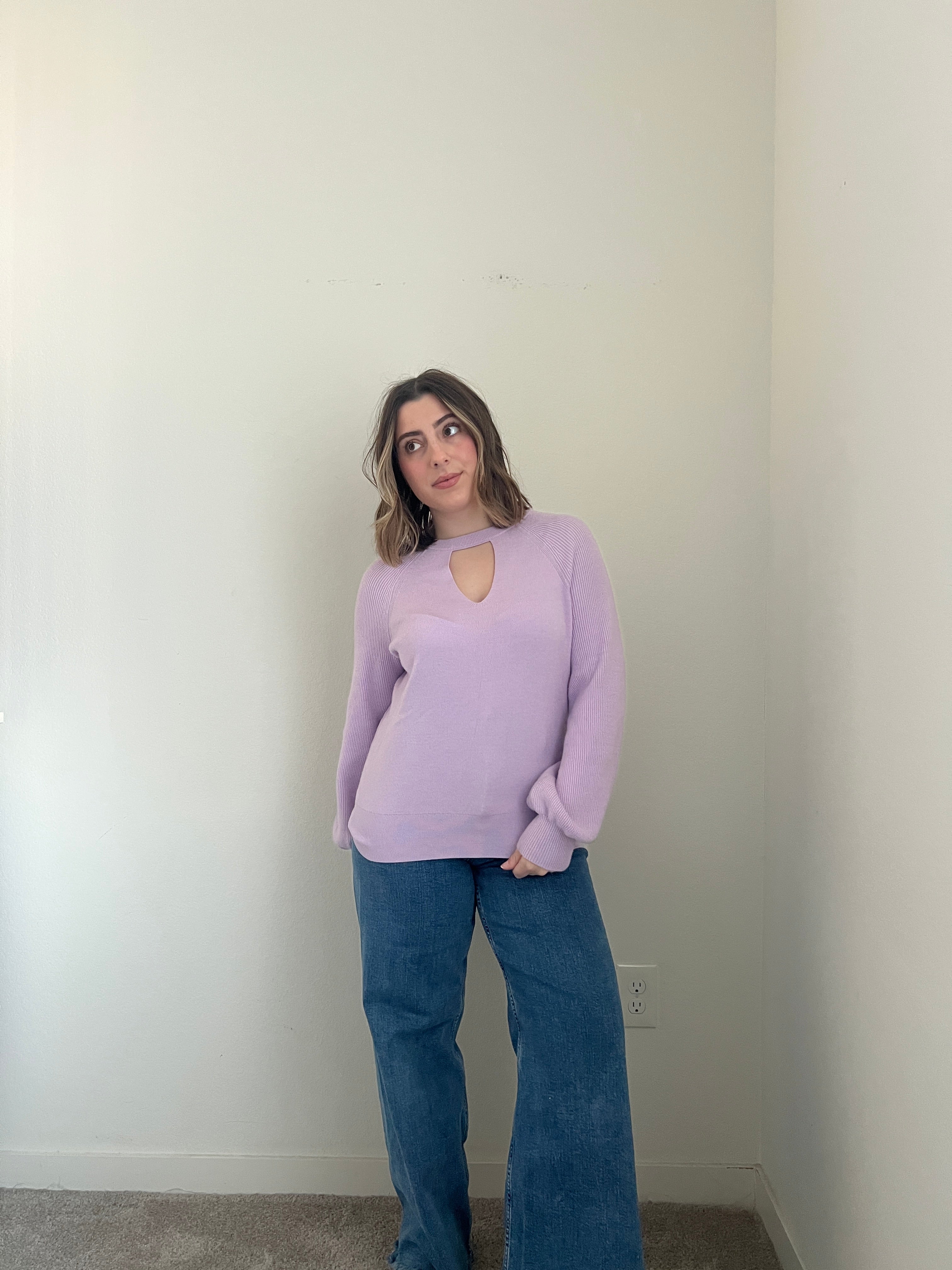 Anthropologie Lavender Sweater (S)